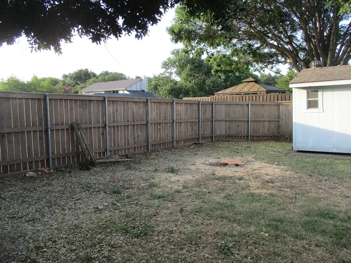 Cleared yard after professional tree removal in Washington Island