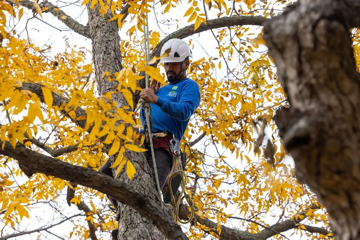 Skilled Storm Damage Cleanup crew working in Washington Island